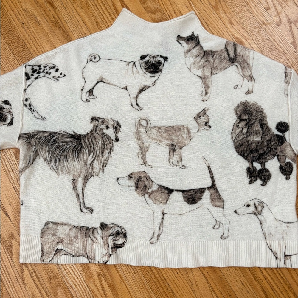 Anthropologie Alani Cashmere Sweater